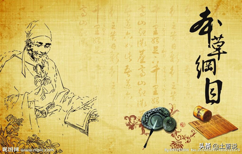 野菜蒲公英图片及识别方法,蒲公英野菜大全配图片和名字