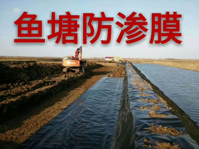 鱼塘防渗膜厂家价格,鱼塘防渗膜生产厂家