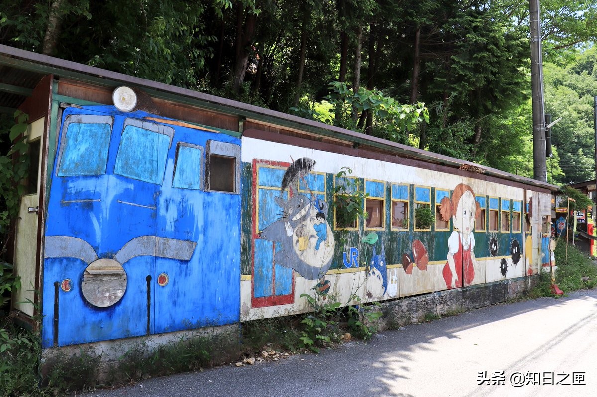 龙猫在日本的什么地方 (萤火之森和龙猫)