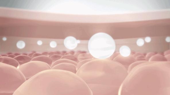 影后打call,影后打call视频