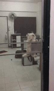 和女生去漂流怎么推进感情,怎么约女生去漂流