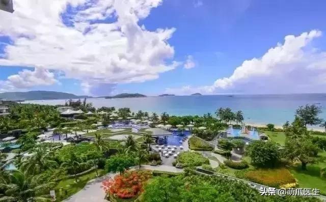 上海可带宠物入住的酒店推荐,怎么选宠物友好酒店房间