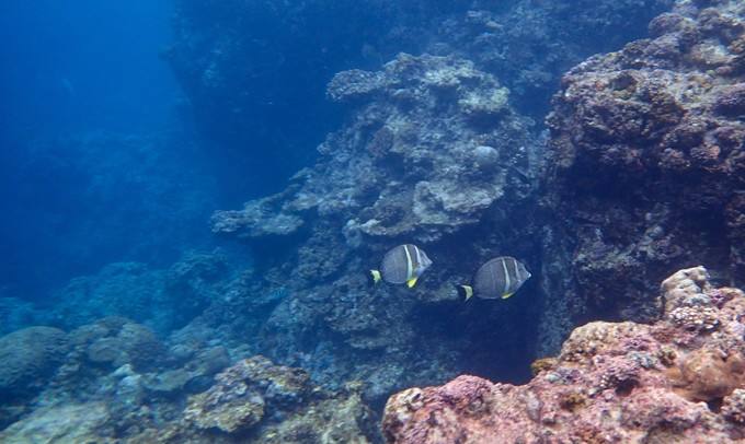 日本冲绳好吗,日本冲绳可以潜水吗