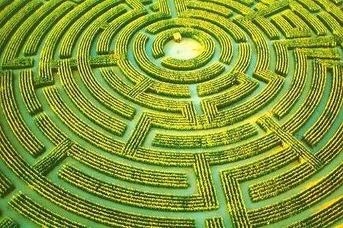 植物迷宫怎么做,梦幻成都植物迷宫