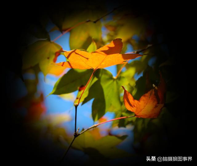 ps摄影后期软件工具使用教程,摄影ps后期工具栏设置