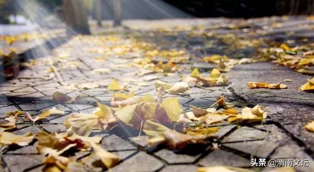 渭南文坛|曲君：写给亲爱的未央