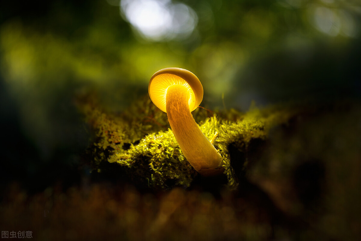 爱自己是件和细胞一样小的小事