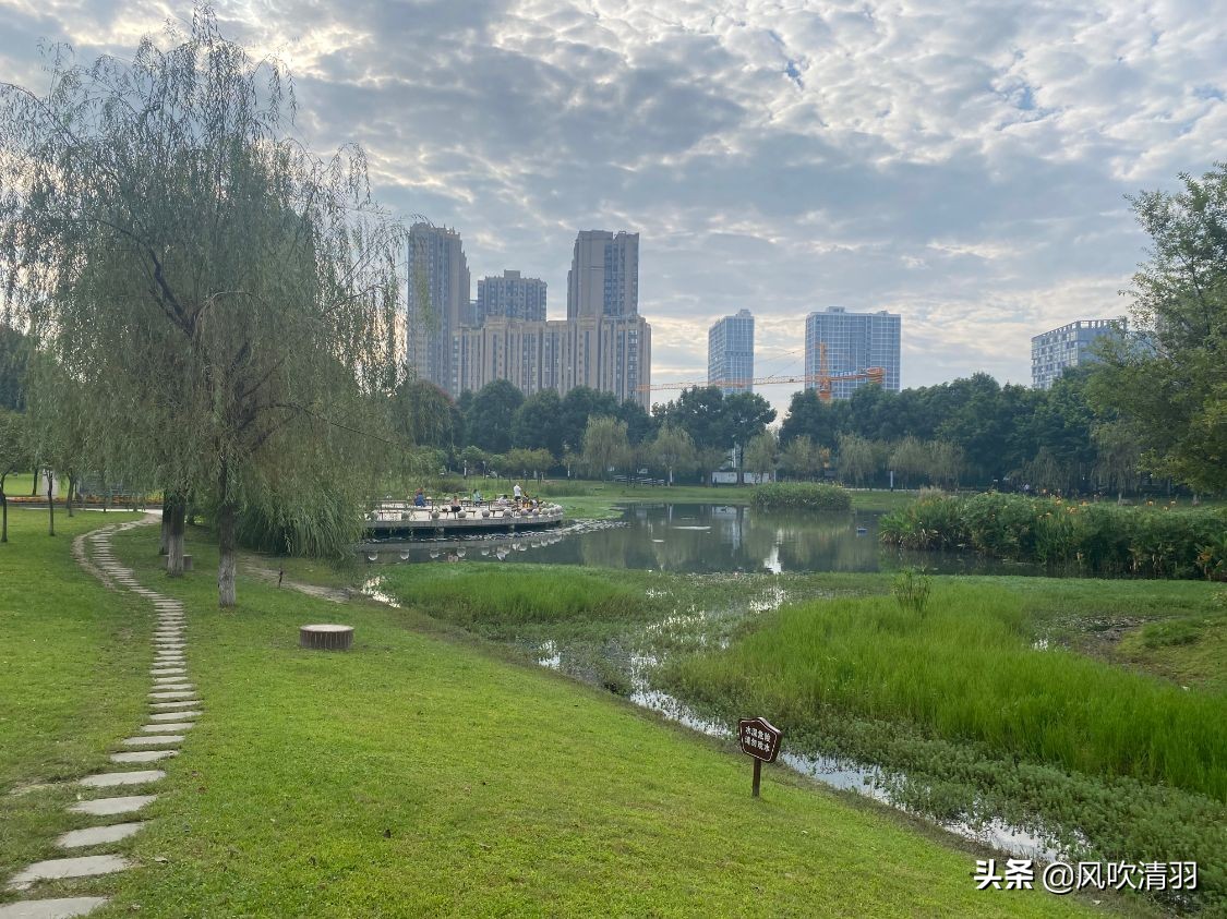 郫都区有什么不值得买的房子,郫都有什么劣势