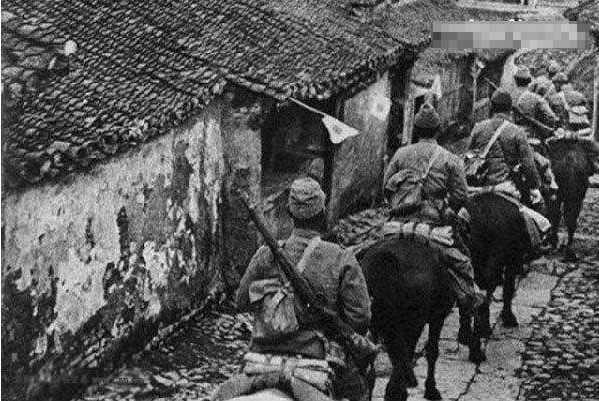 二战中国用什么狗对付狼青,日军恶狼