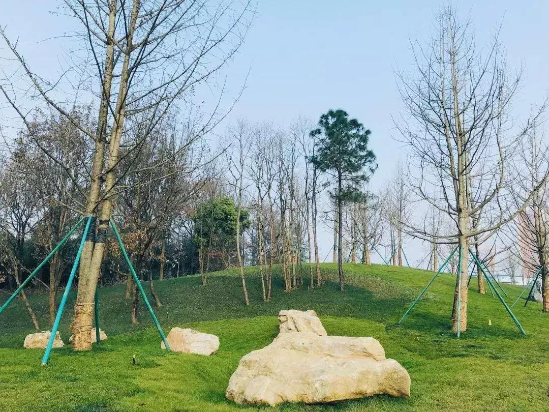 双流夜景必打卡之地,成都双流免费打卡景点