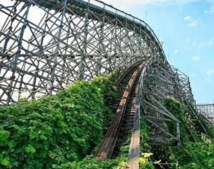 又一物在美国泛滥成灾，当地人称为恶魔，中国人却花大价钱求购