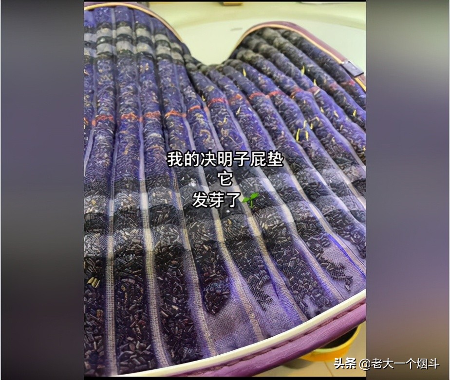 那些让你笑出猪叫的小说,三十个让你爆笑的神回复