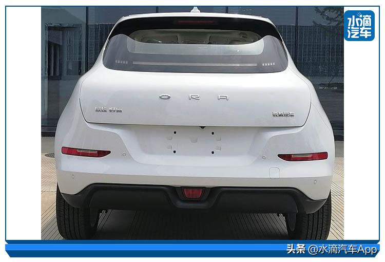 突然伪潮流的欧拉，能成为一只好猫么？