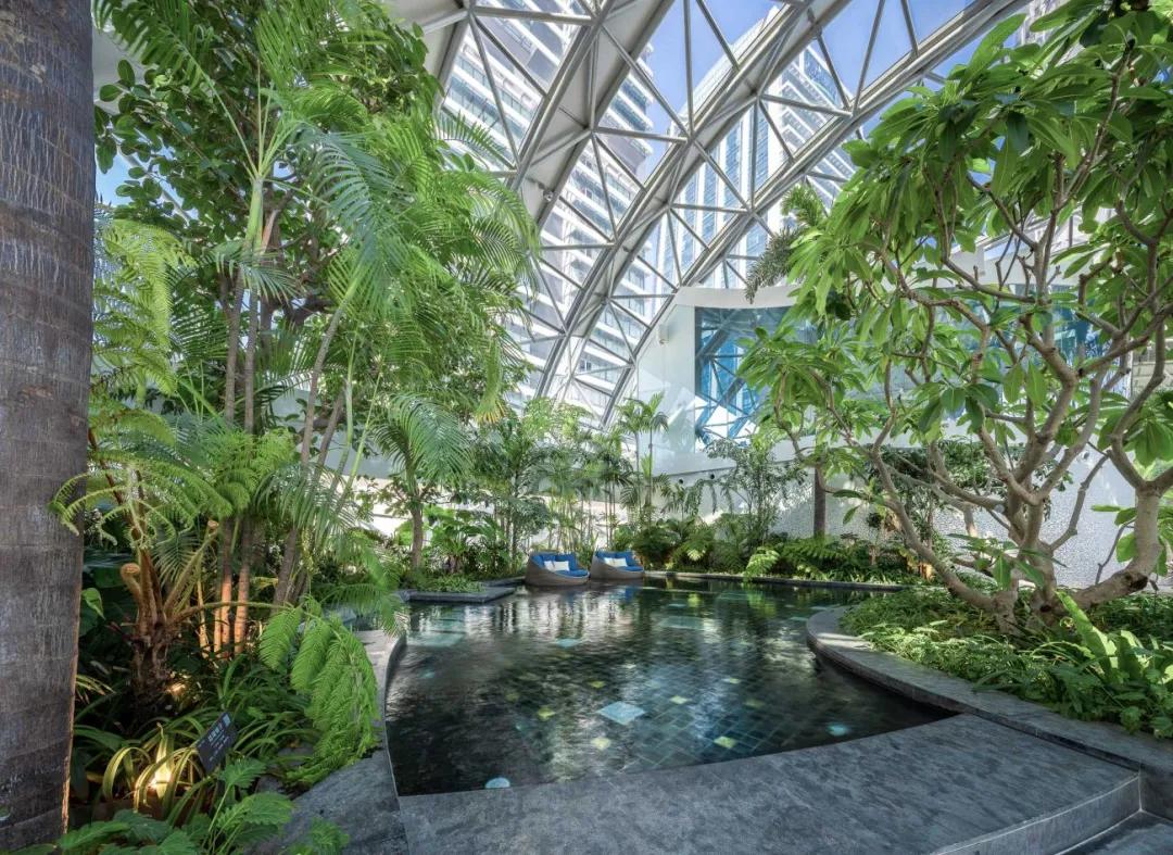 夏日清凉好去处泳池,夏日玩水胜地无边际泳池