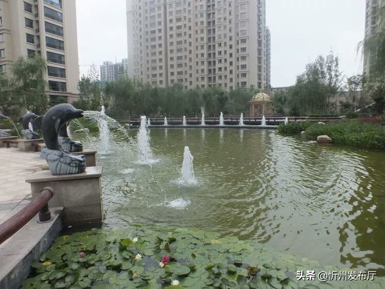 忻州国力花园二期在哪个位置,忻州国力花园五期和国力新城二期