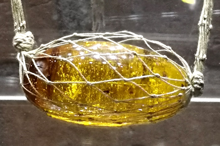 波兰格单斯克琥珀展,波兰琥珀