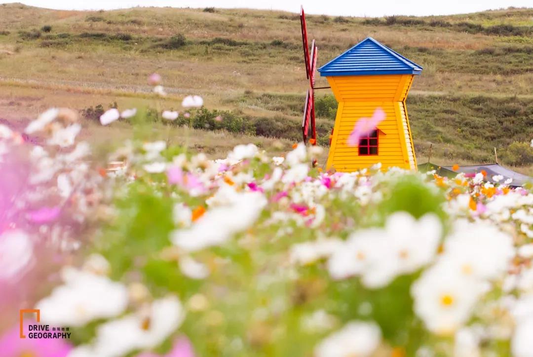 宁夏66号公路自驾路线图,美国66号公路自驾攻略