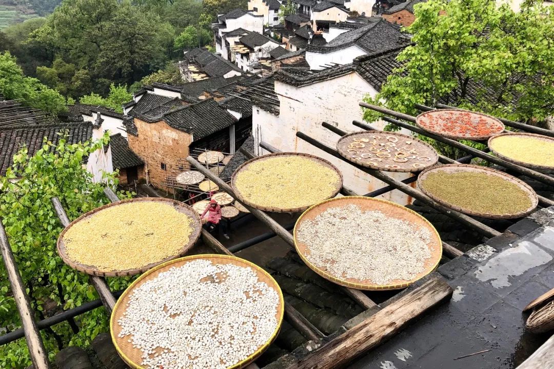 婺源清华朴园,婺源旅游攻略2日游民宿