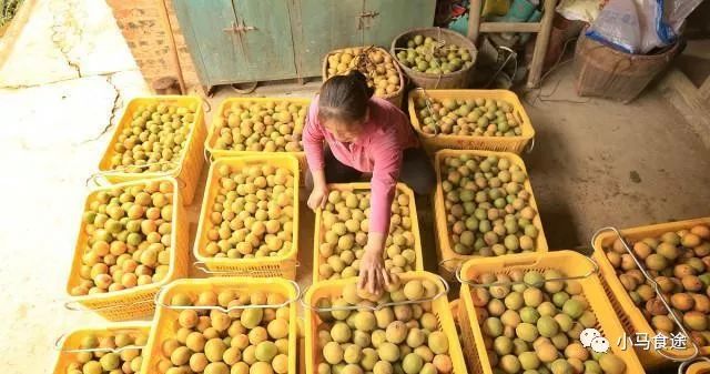 广西十大特产零食排名,广西桂平十大出名特产