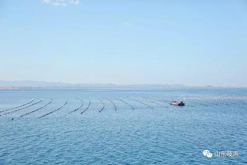 东楮岛海草房全景,东楮岛渔村海草房介绍