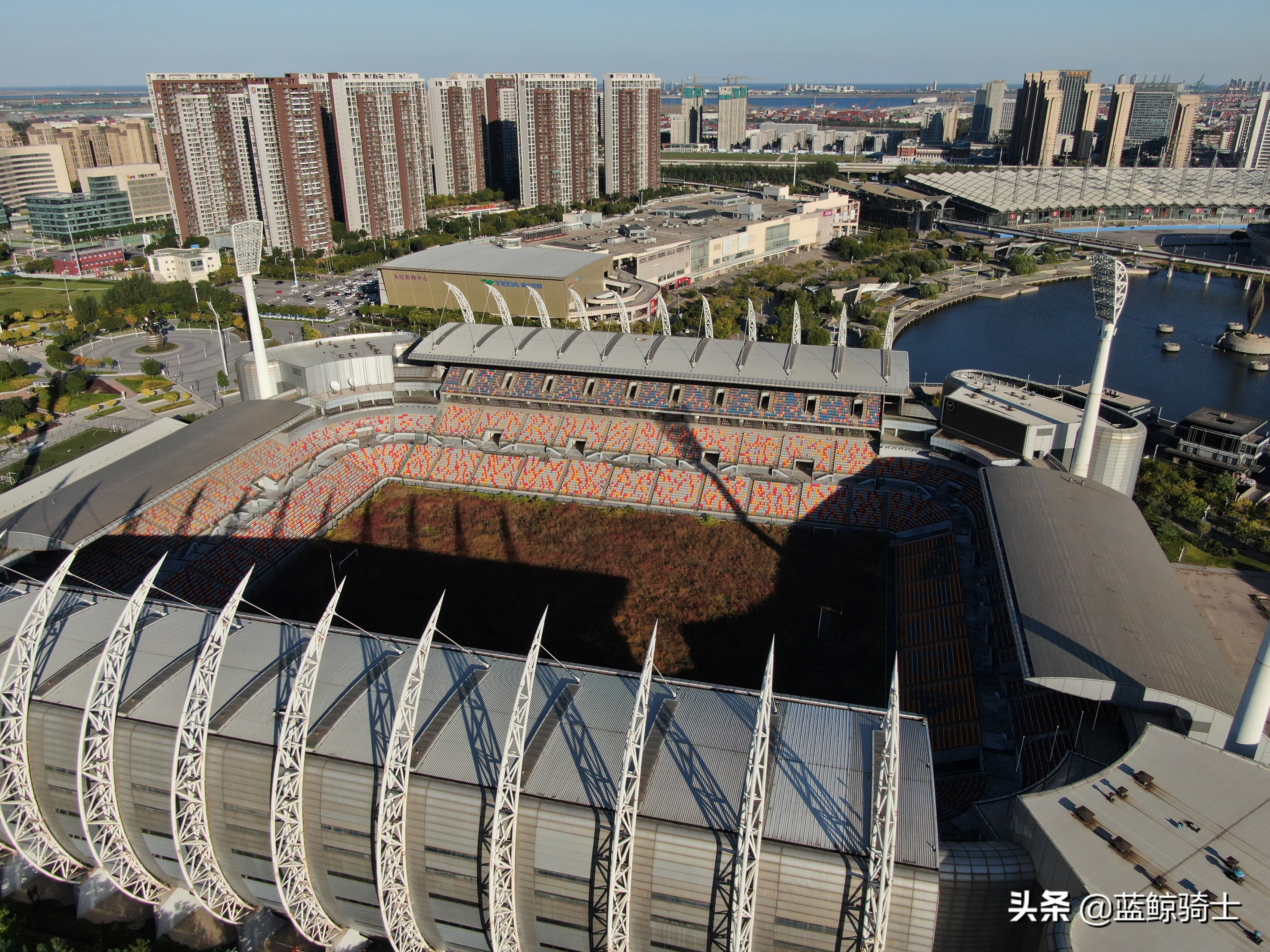 天津泰达专业球场,天津泰达第一座专业足球场