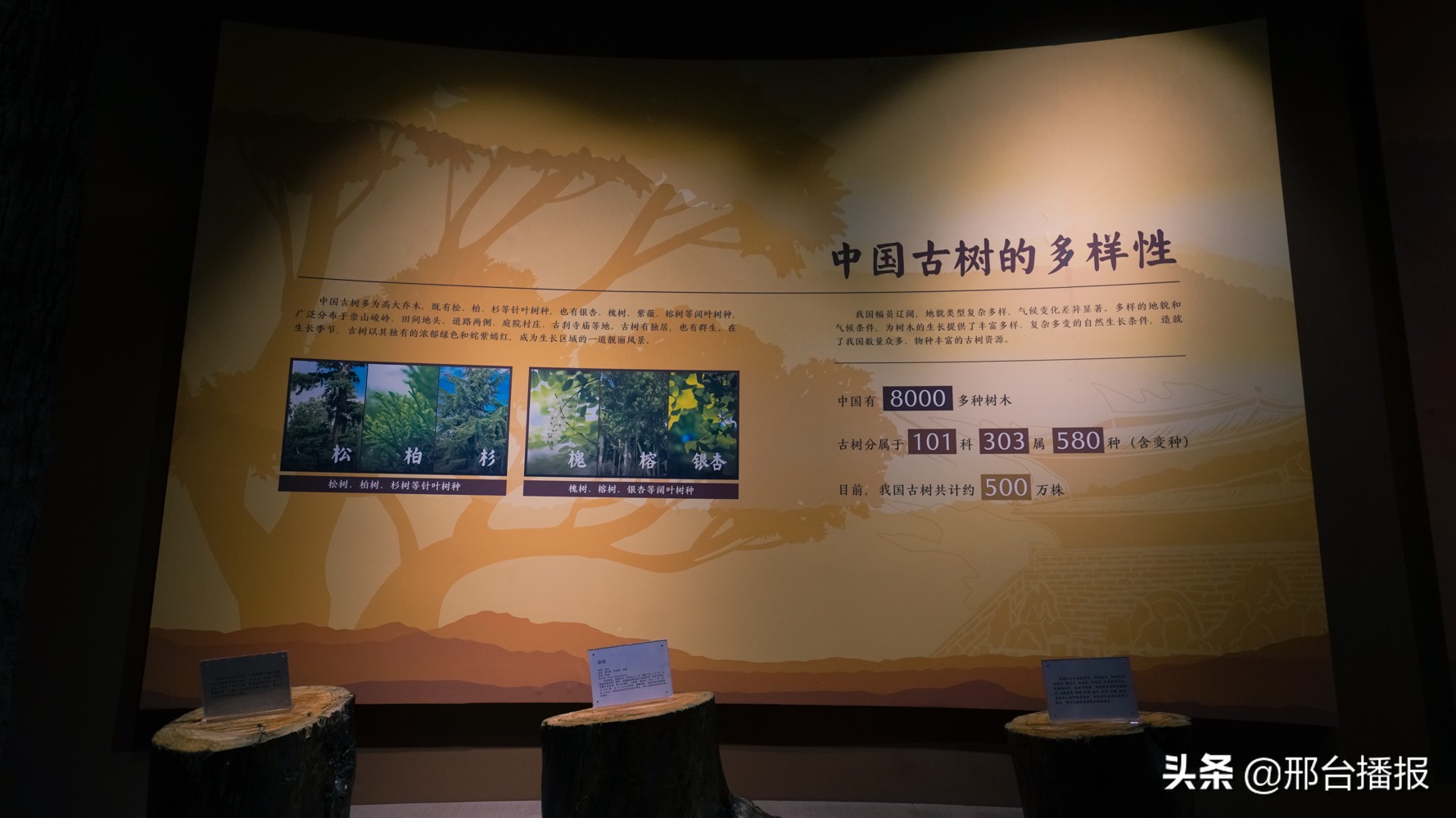 邯郸园博园值得一去吗,是什么限制了我的想像