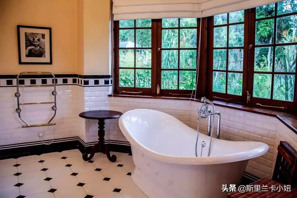 锡兰藏着3家罗莱夏朵：英式茶园野奢帐篷和悬崖海滨，随时去隐居