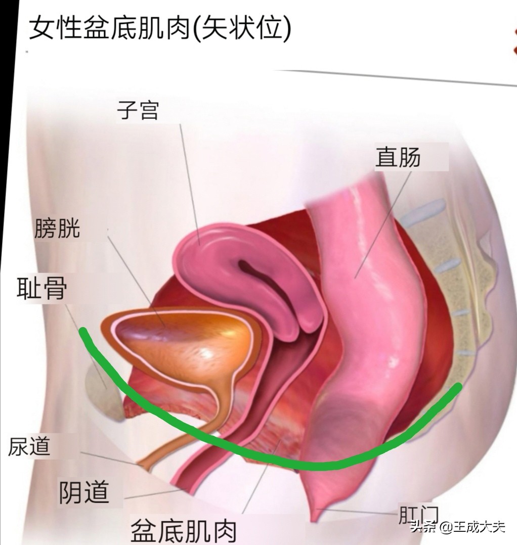 有什么运动可以躺着做,有什么能在床上完成的锻炼