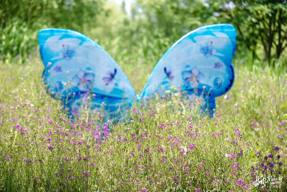 不进沙家浜景区能看到芦苇荡,深度游玩沙家浜风景区