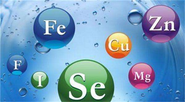 海带和裙带菜，该如何选择？营养师：碘元素含量相差十倍