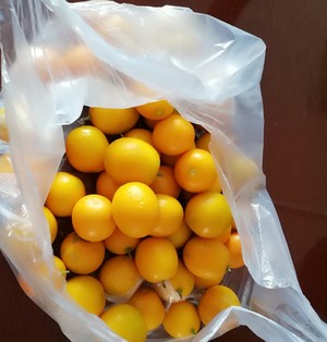 专家讲制作金桔酱治咳嗽,自制金桔酱早晚喝一杯润肺化痰