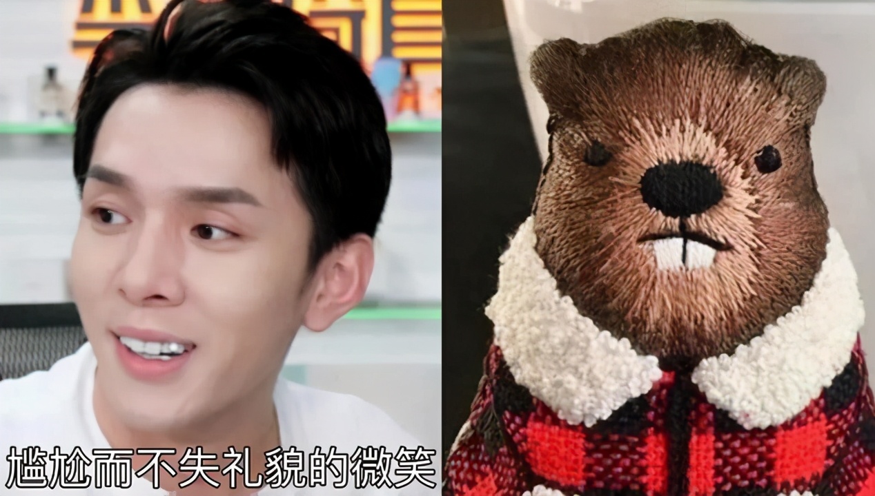 李佳琦和张翰,李佳琦张翰同台