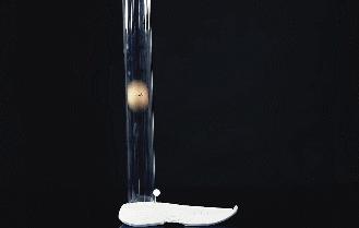 性价比最高的十款透气运动鞋,百元内超弹运动鞋