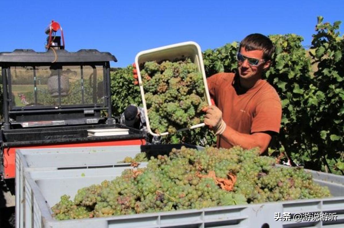 一句话看世界,看世界的句子经典语录