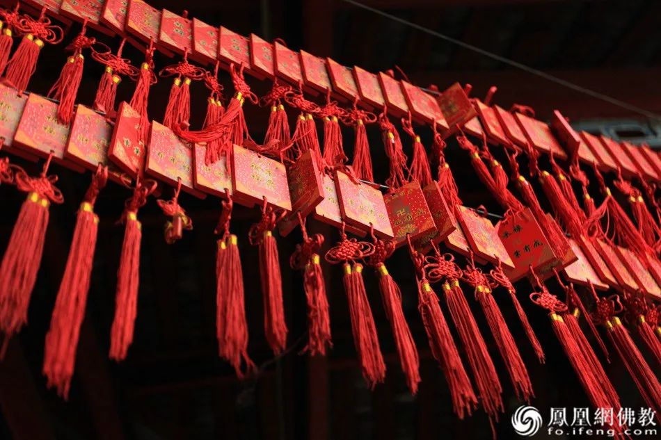 一位寺院住持和400多位癌症患者的“生死之交”|真实故事