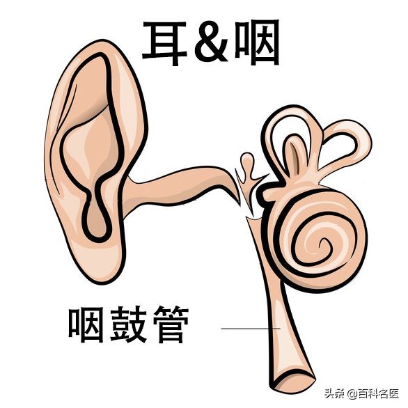 咽炎鼻炎咳嗽得很厉害怎么办,鼻炎刺激性咳嗽吃什么药