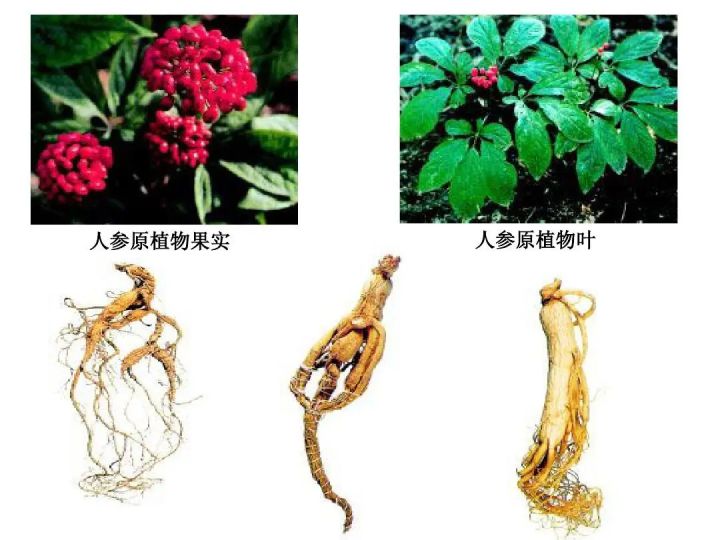 天然中草药护肤,天然护肤品作用