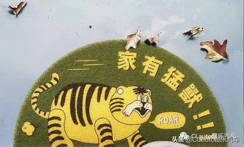 ​近乎残疾，不忍直视|流浪豹STI收养记Vol.01