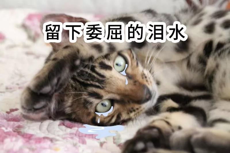 网约车被要求逆行,逆行网约车