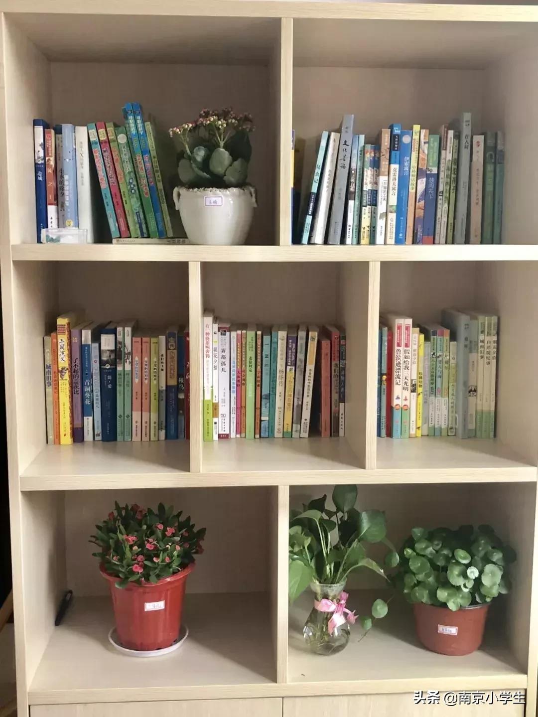 29中迈皋桥分校,二十九中迈皋桥分校施教区