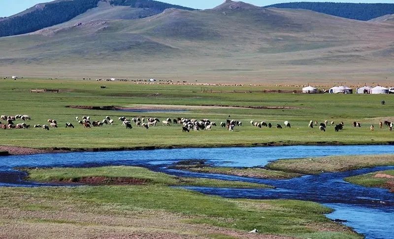 治沙对策和措施,治沙的最好办法