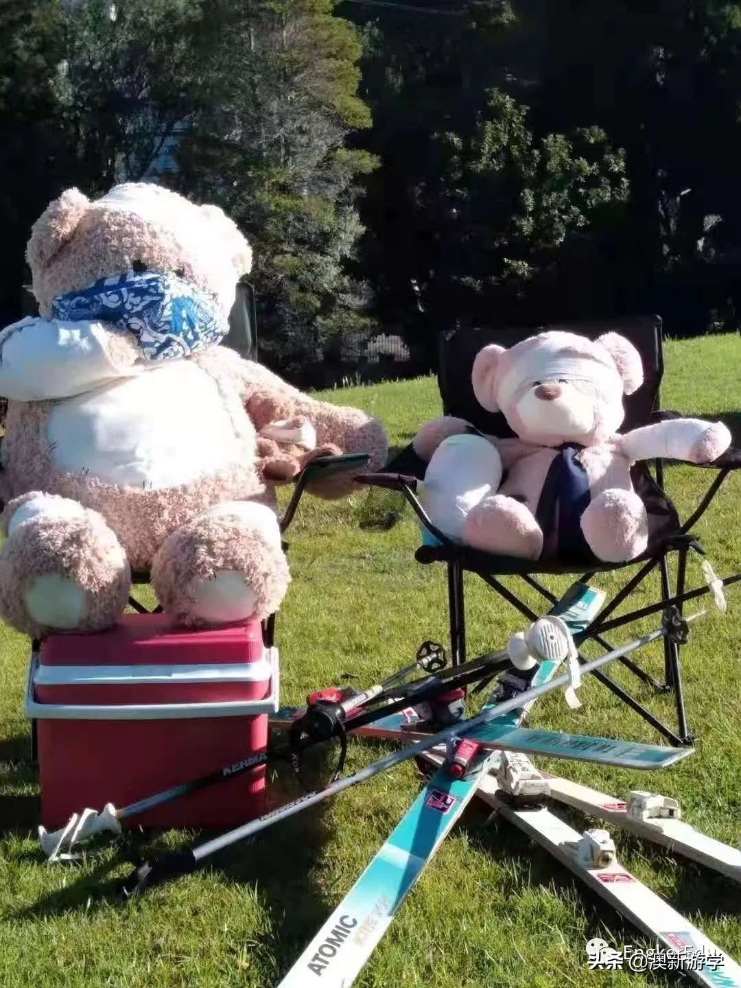 封城期间，玩偶一家的生活大揭秘