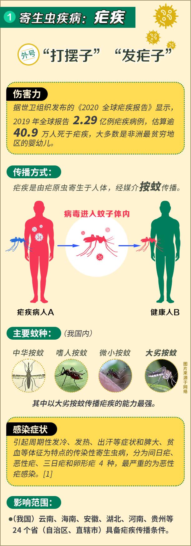 驱蚊剂治蚊子最好的方法,小蚊子的克星是什么