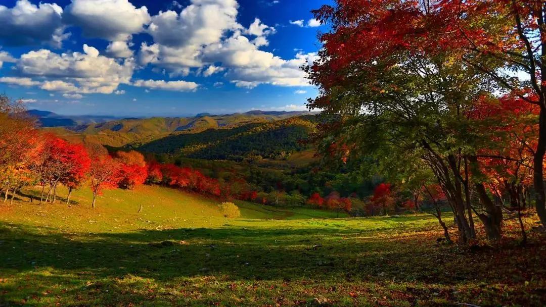 旅游景点畅玩团购,景点游玩优惠团购