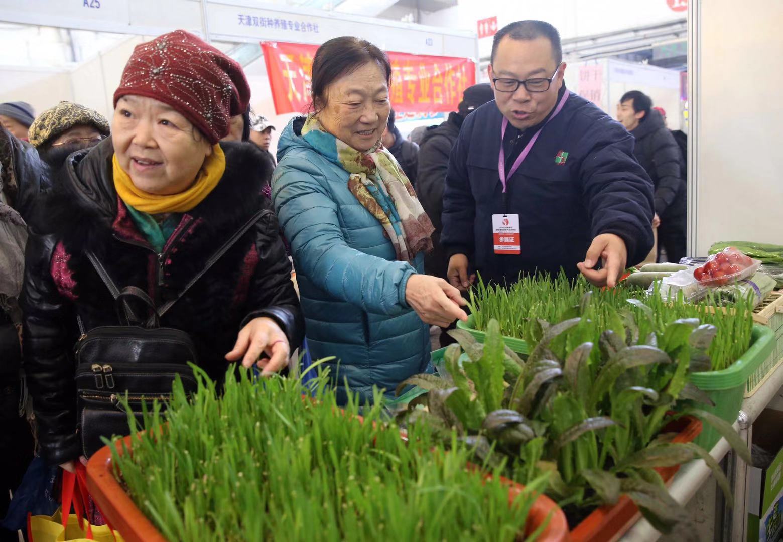 天津果蔬节展销会,天津市西红柿节