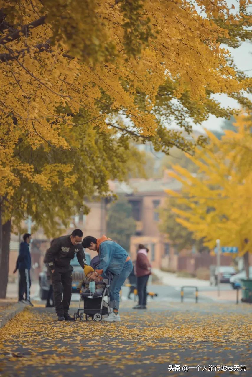 大连最浪漫的十个地方,大连浪漫景色