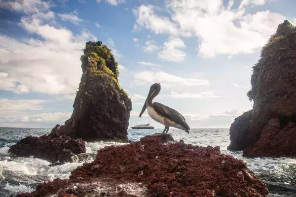20个理由,十个理由告诉你为什么要独自旅行