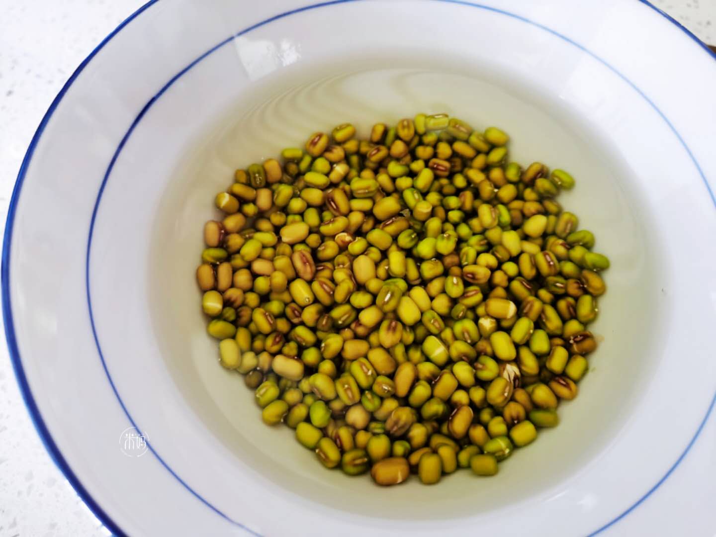 才知道生黄豆芽还能这么简单,发豆芽过程及观察记录