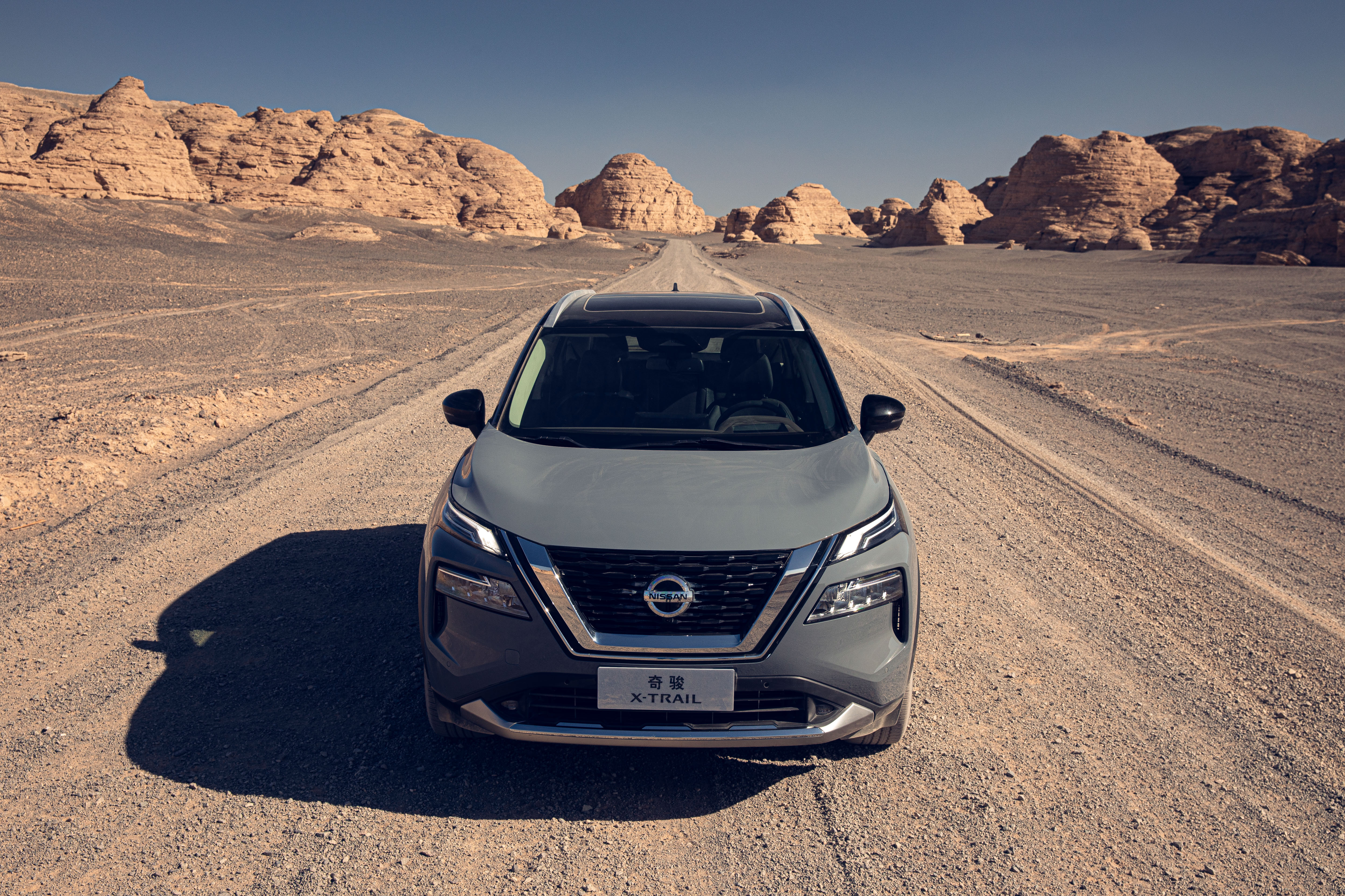 买车需要注意哪些事项你知道吗,新手买车需要注意哪些事项