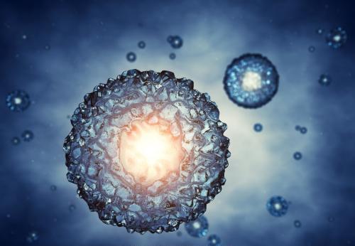 人类胚胎1到40天的发育过程,从胚胎到出生的奇妙之旅